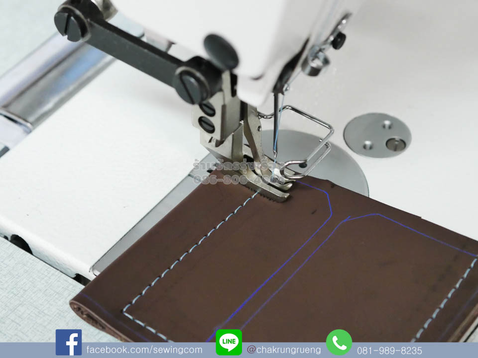 ตัวอย่างตะเข็บ